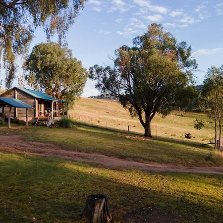 وودونغا Gaddleen Grove Cottages المظهر الخارجي الصورة