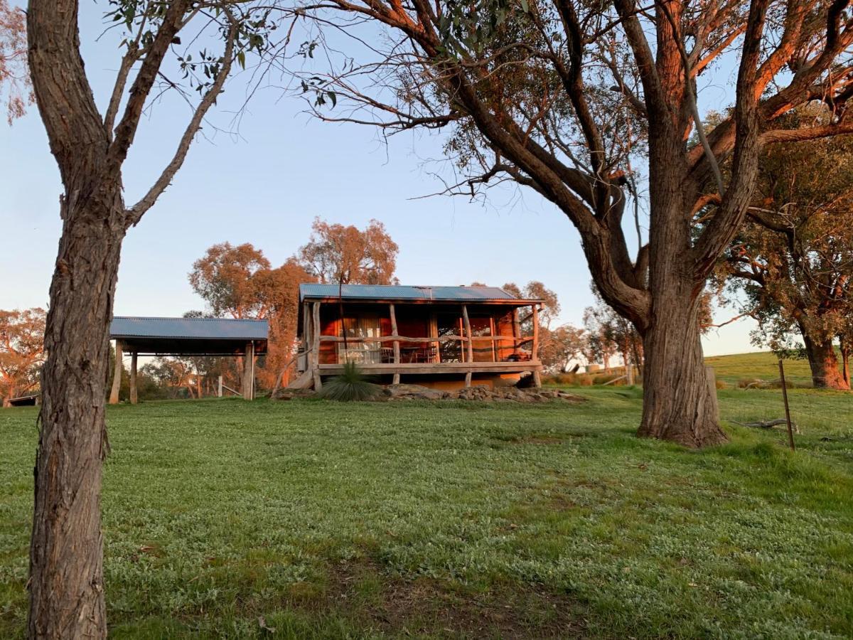 وودونغا Gaddleen Grove Cottages المظهر الخارجي الصورة