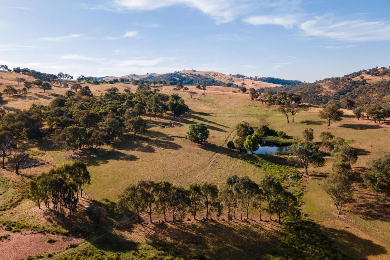 وودونغا Gaddleen Grove Cottages المظهر الخارجي الصورة