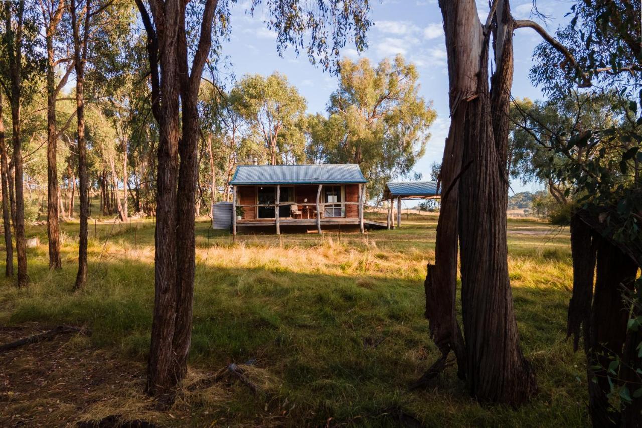 وودونغا Gaddleen Grove Cottages المظهر الخارجي الصورة