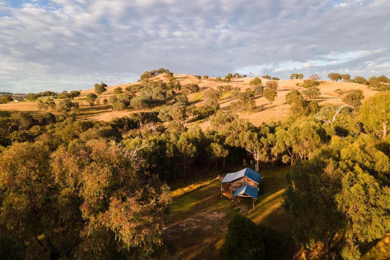 وودونغا Gaddleen Grove Cottages المظهر الخارجي الصورة